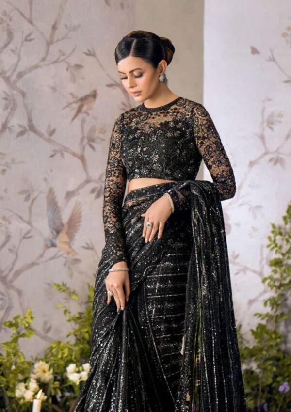 Aik Atelier Look 05 Sari Edit Formal Collection - Image 3