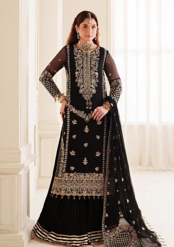 Alizeh Chiffon Adc24 30