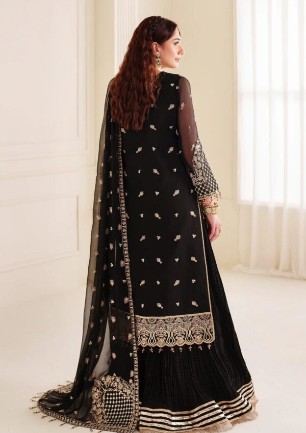 Alizeh Chiffon Adc24 30