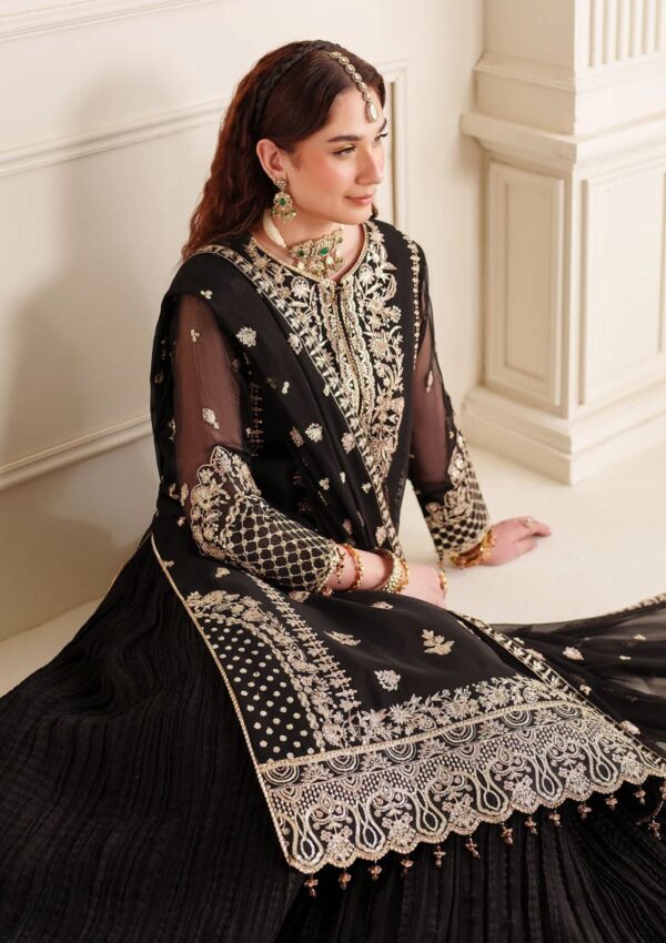 Alizeh Chiffon Adc24 30