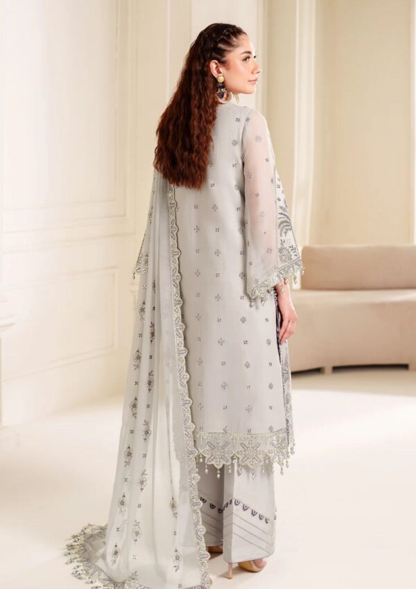 Alizeh Chiffon Adc24 3030 Payal Dua