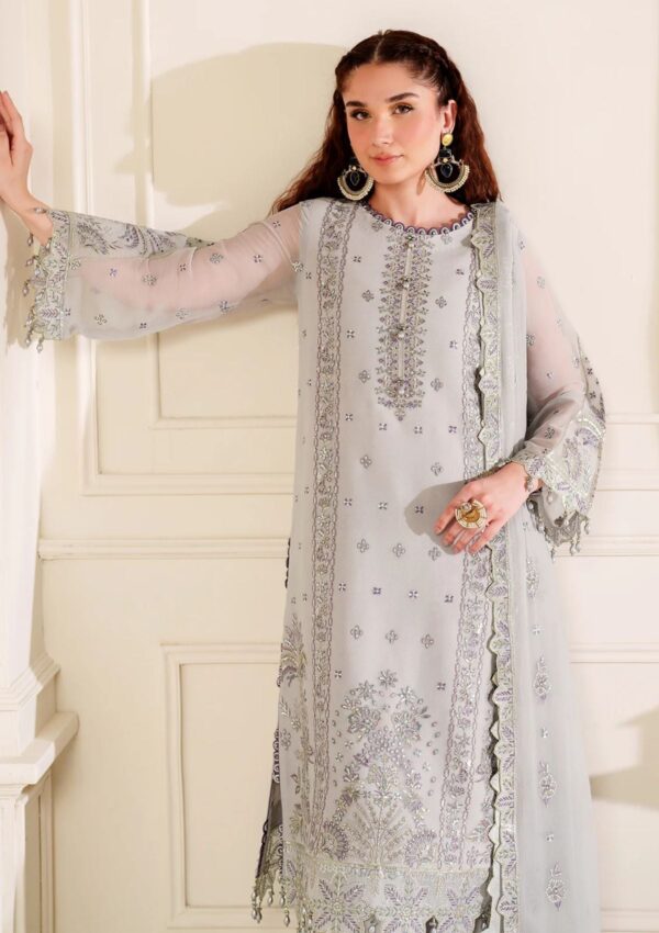 Alizeh Chiffon Adc24 3030 Payal Dua