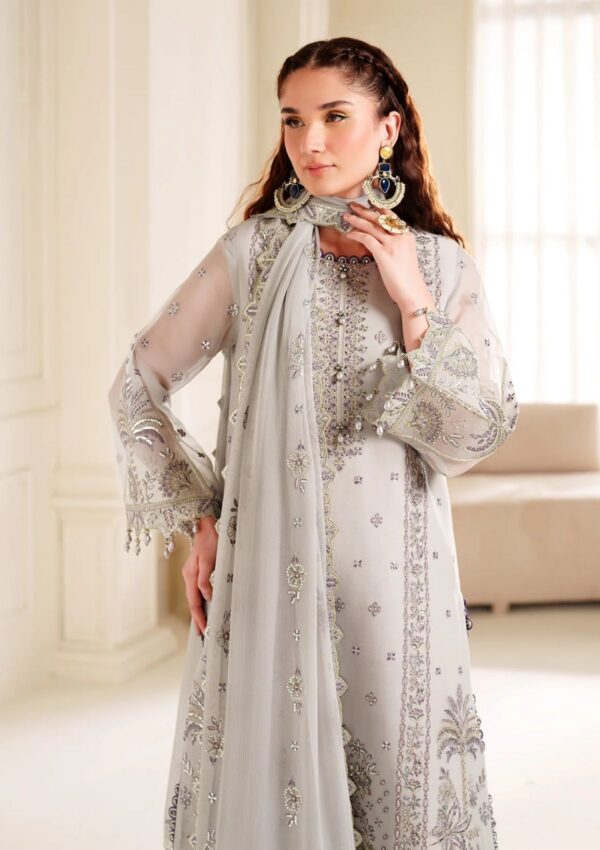 Alizeh Chiffon Adc24 3030 Payal Dua