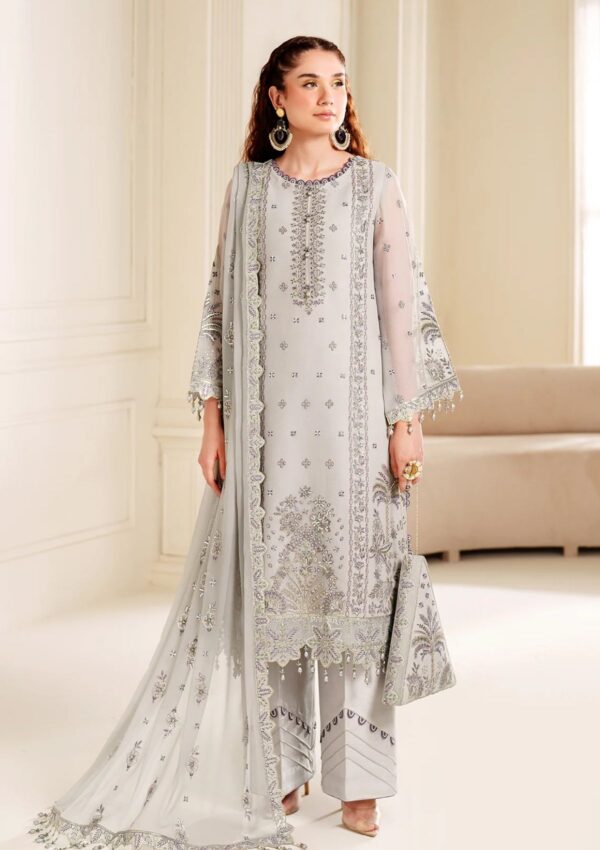 Alizeh Chiffon Adc24 3030 Payal Dua