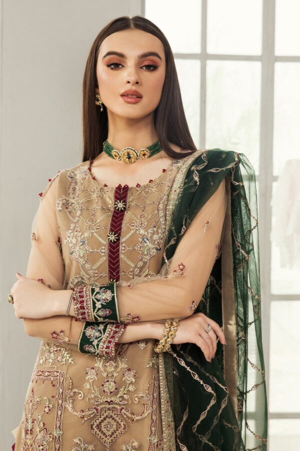 Alizeh D 2 (Kehkashan) Fashion