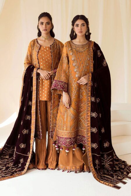 Alizeh D 3 Zar Begum Premium Velvet