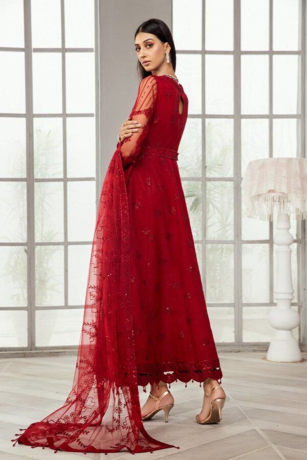 Alizeh D 8 (Rubi) Fashion