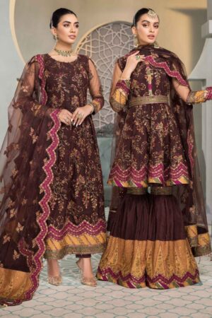 Alizeh Rajwari D 12 Vasl E Meeras V12
