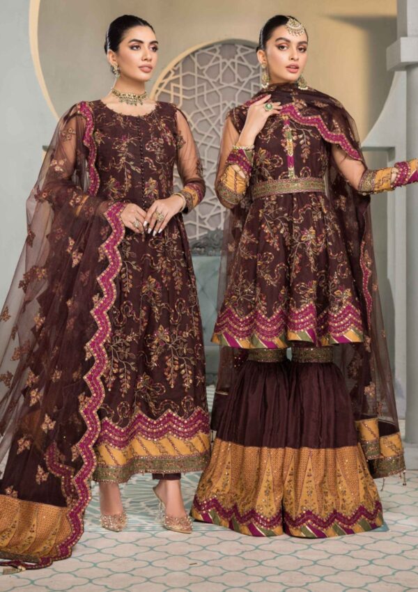 Alizeh Rajwari D 12 Vasl E Meeras V12