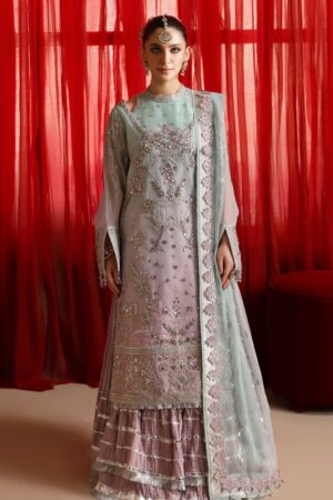 Alizeh Wedding Arw 24 Hm 4023 Amani Reena