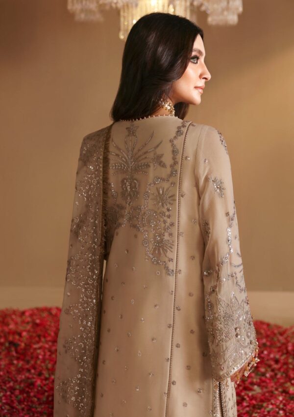 Alizeh Wedding Arw 24 Hm 40