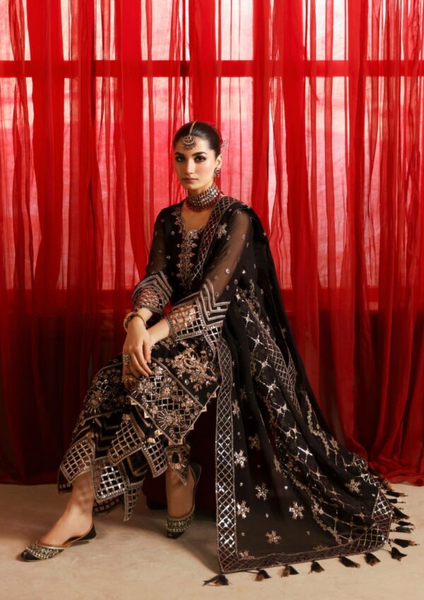 Alizeh Wedding Arw 24 Hm 4026 Naina Reena