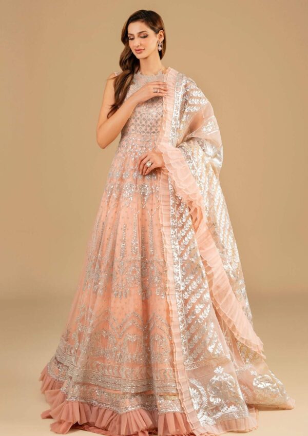 Asifa & Nabeel Festive Anb 6 Shahnai Barasti