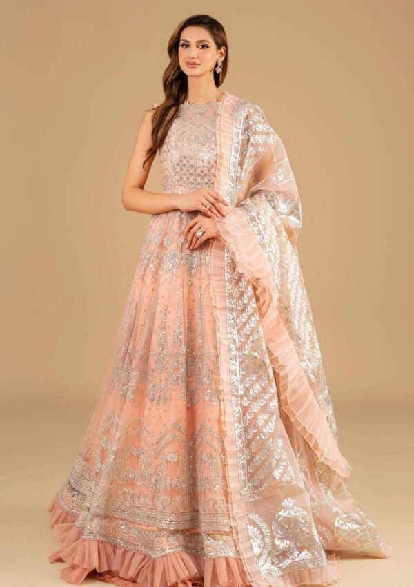 Asifa & Nabeel Festive Anb 6 Shahnai Barasti