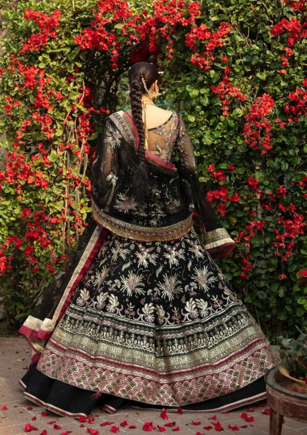 Avyana Shabab D 13 Surmaya Wedding
