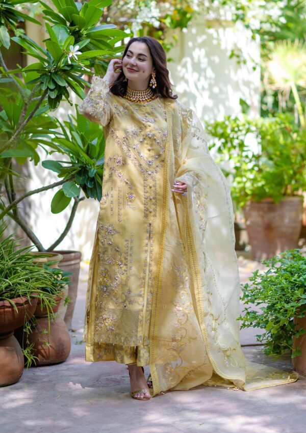 Ayesha & Usman Noor D 5 Nureh Azzal