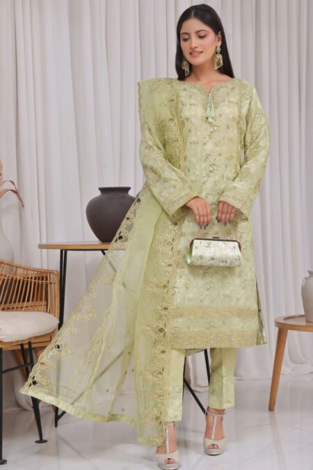 Dressline Fatima Bano Dh24 164 C Haleema