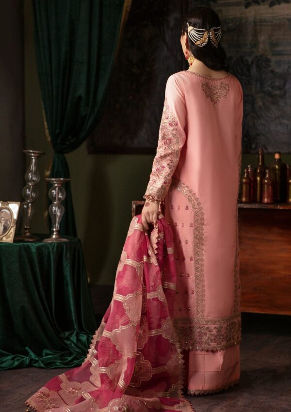 Emaan Adeel Nr 3 Sherbano Noori Silk