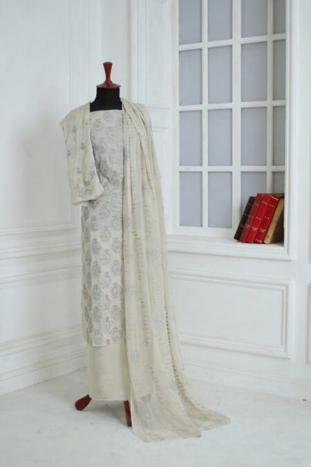 Fancy Closet D 2971 Skin