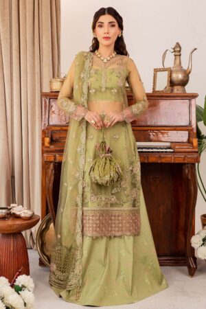 Farasha Wedding Ft 2 Alaya Tabeer