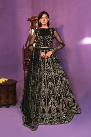 Gisele Festive Khaista Zarish