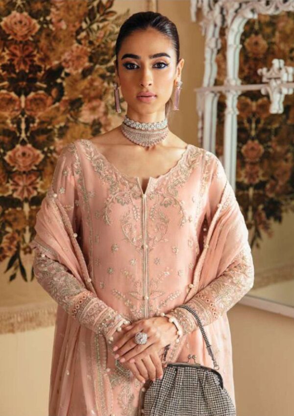 Gulaal Chiffon Glec 3 Rosalie Embroidered