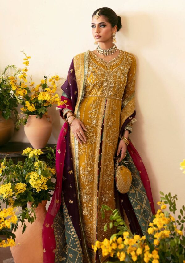 Gulaal Wedding Gl Wu 08 2024 Nayaara Chaandni Formal Collection - Image 3