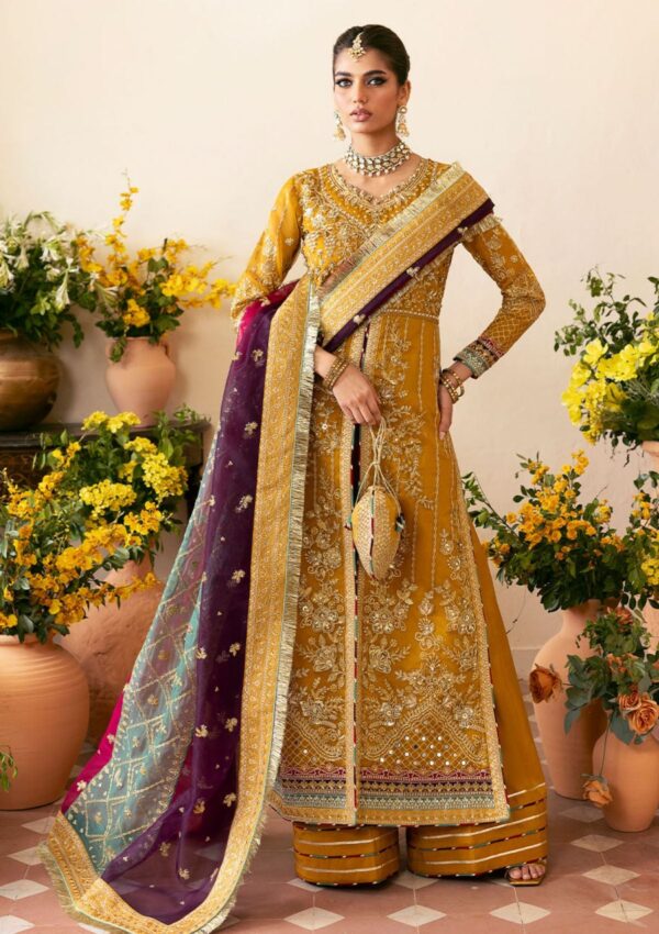 Gulaal Wedding Gl Wu 08 2024 Nayaara Chaandni Formal Collection - Image 4