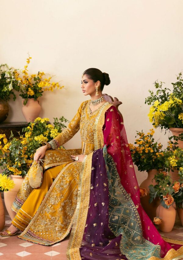 Gulaal Wedding Gl Wu 08 2024 Nayaara Chaandni Formal Collection - Image 5