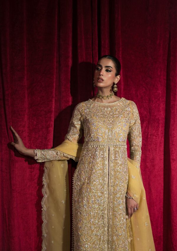 Hazme Fatin Sh 03 Roshnai Wedding