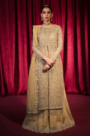 Hazme Fatin Sh 03 Roshnai Wedding