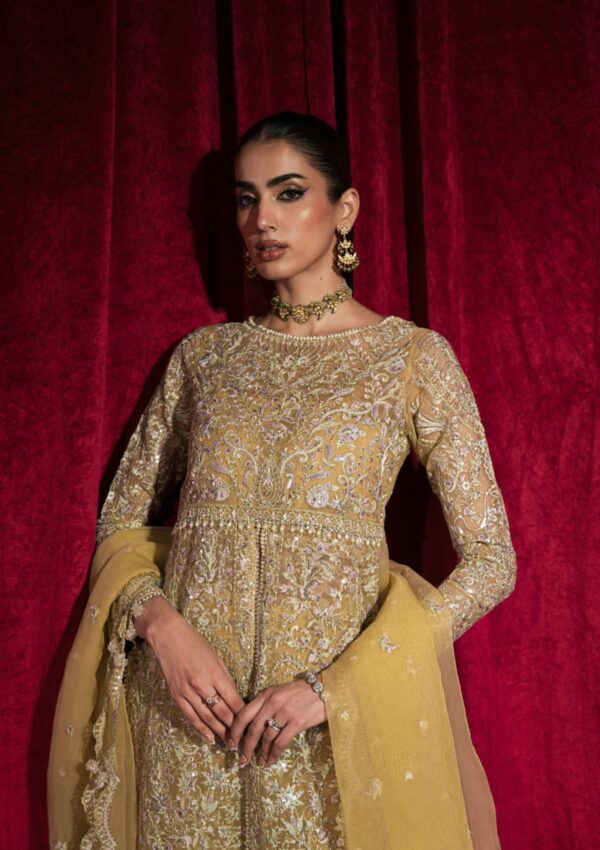 Hazme Fatin Sh 03 Roshnai Wedding
