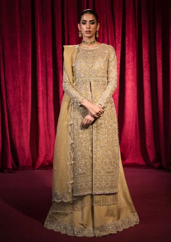 Hazme Fatin Sh 03 Roshnai Wedding
