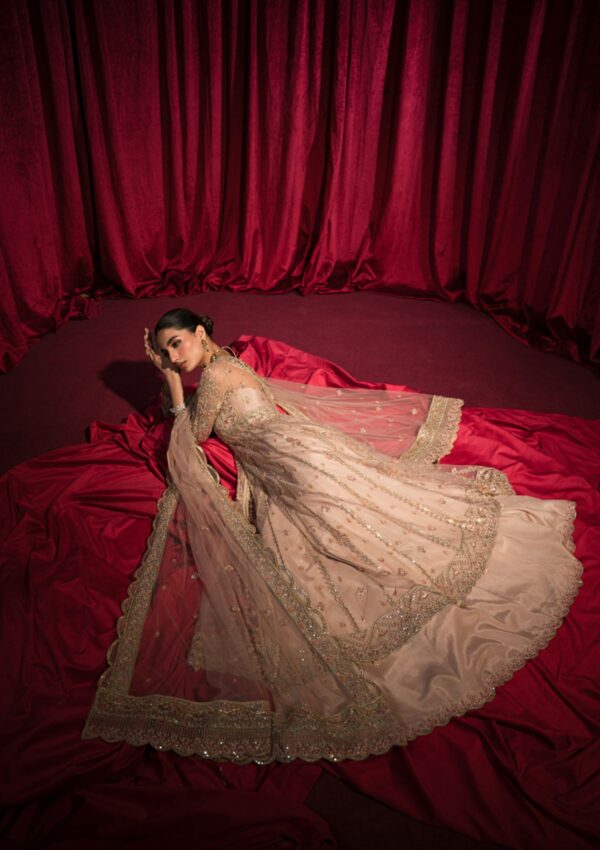Hazme Inaya Sh 06 Roshnai Wedding