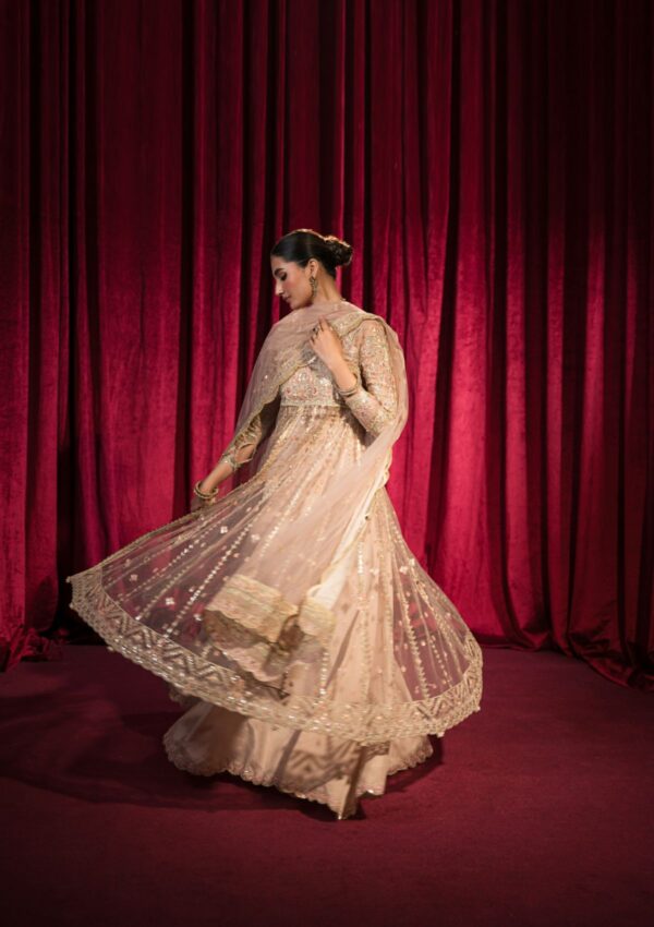 Hazme Inaya Sh 06 Roshnai Wedding