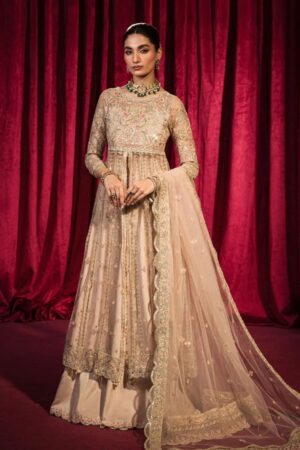 Hazme Inaya Sh 06 Roshnai Wedding