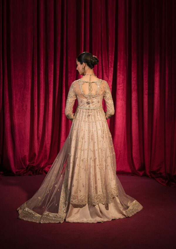 Hazme Inaya Sh 06 Roshnai Wedding