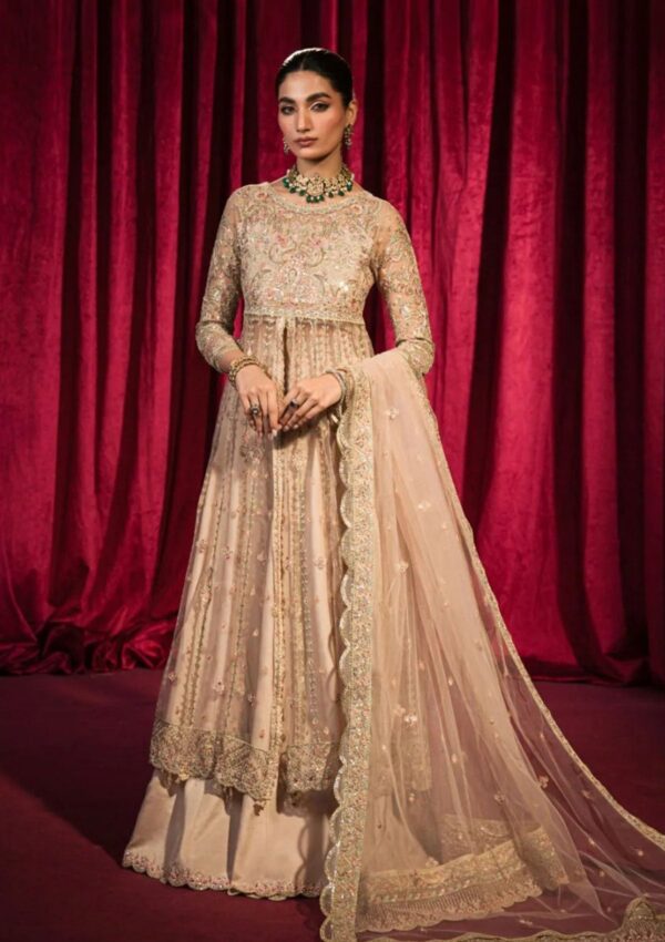 Hazme Inaya Sh 06 Roshnai Wedding
