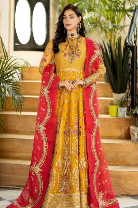Imrozia 182 Aafreen Jhalak