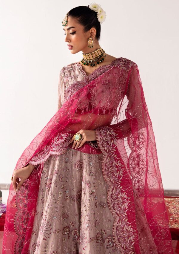 Jamnii Nureh Unkahi Baaten Formal Collection - Image 3