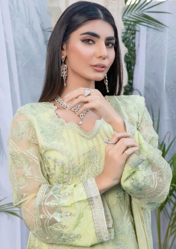 Jasper Unstitched Chiffon D 181 Sejal