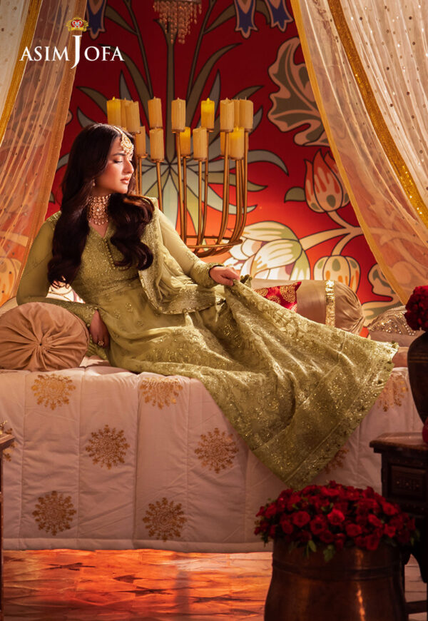 Asim Jofa Ajcr-08 Embroidered Net