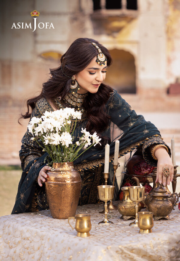 Asim Jofa Ajce-03
