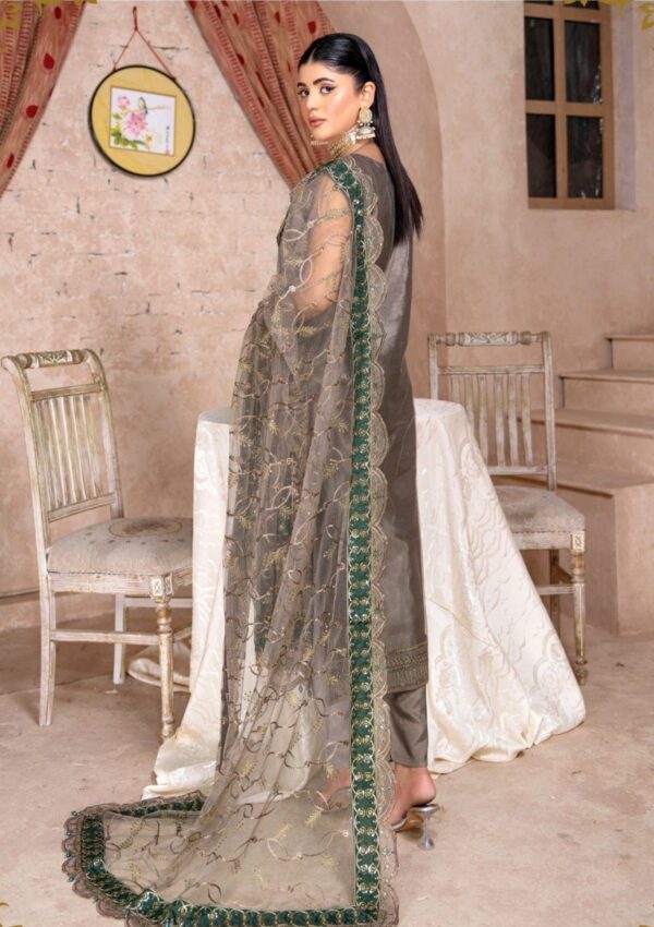 Mah E Rooh Am 9905 Amaya