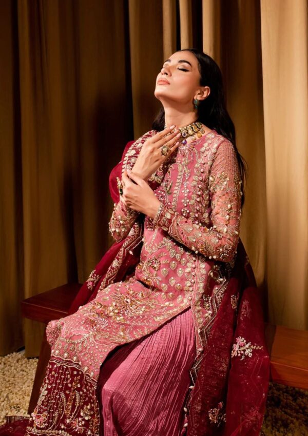 Maria Osama Khan Ds 05 Zari Dastaan