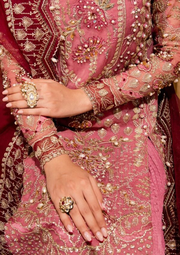 Maria Osama Khan Ds 05 Zari Dastaan