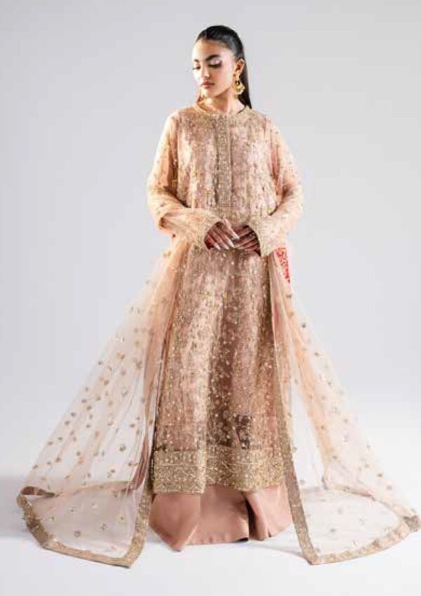 Maryum N Maria Ms 40006 Rachana Raah Formal Collection - Image 3