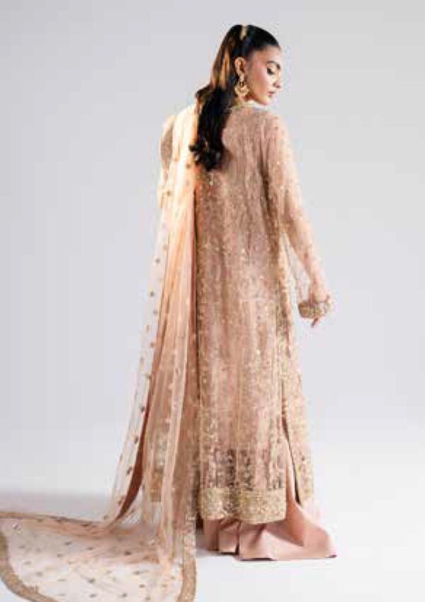 Maryum N Maria Ms 40006 Rachana Raah Formal Collection - Image 4