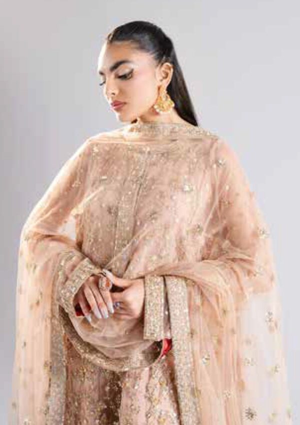 Maryum N Maria Ms 40006 Rachana Raah Formal Collection - Image 5