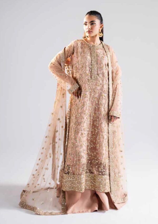 Maryum N Maria Ms 40006 Rachana Raah Formal Collection